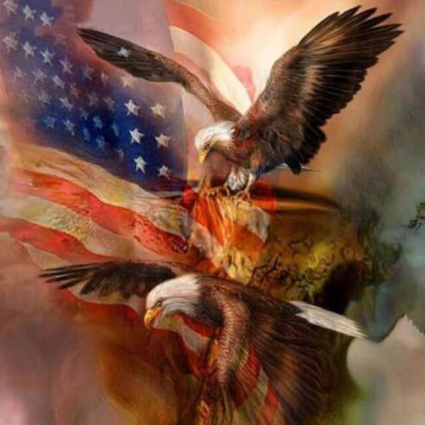 Eagles Flying and US Flag - DIY Diamond Painting