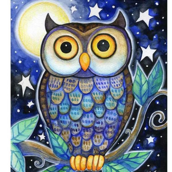 Night Owl - DIY Diamond  Painting