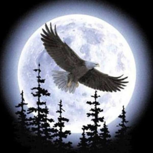 Eagle and Moon Scenery - DIY Diamond Painting