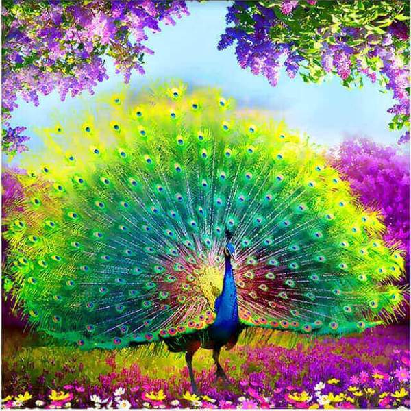 Colourful Peacock - DIY Diamond  Painting