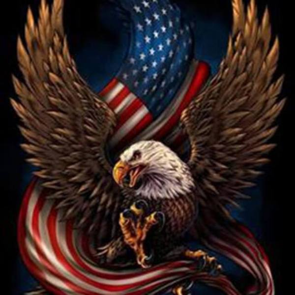 Eagle #1 - DIY Diamond  Painting