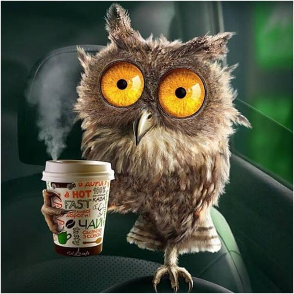 Owl drinking coffee - DIY Diamond Painting