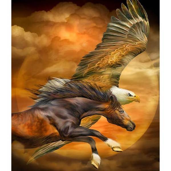 Eagle and Horse - DIY Diamond  Painting