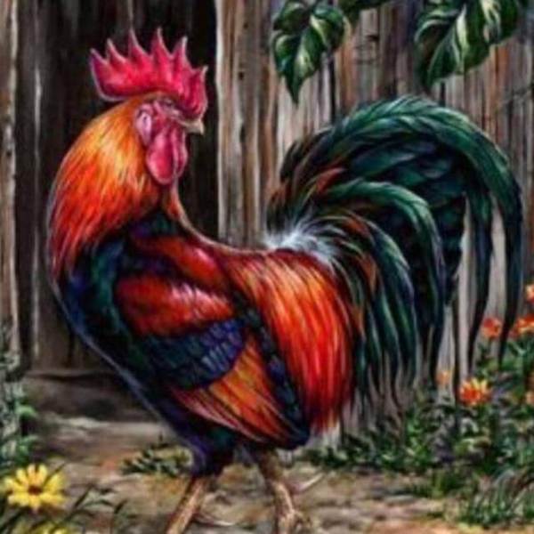 Rooster - DIY Diamond Painting