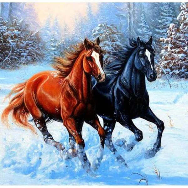 Riding Horses - DIY Diamond  Painting