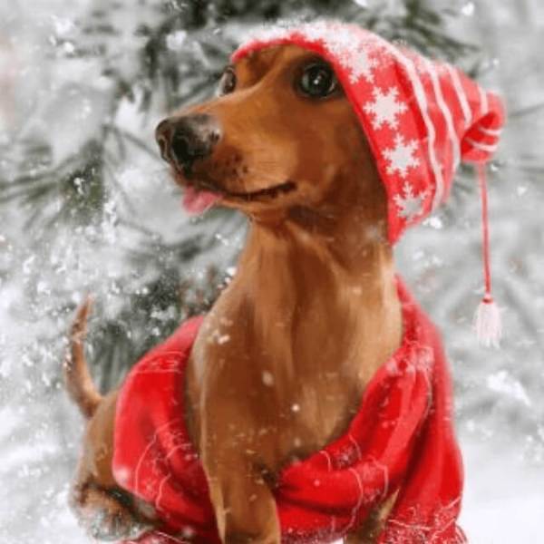 Dog with a Christmas Hat - DIY Diamond Painting