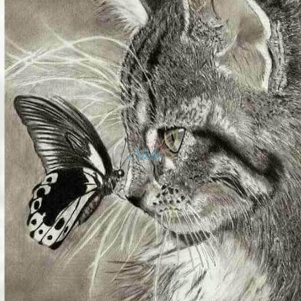 Cat and Butterfly - DIY Diamond  Painting
