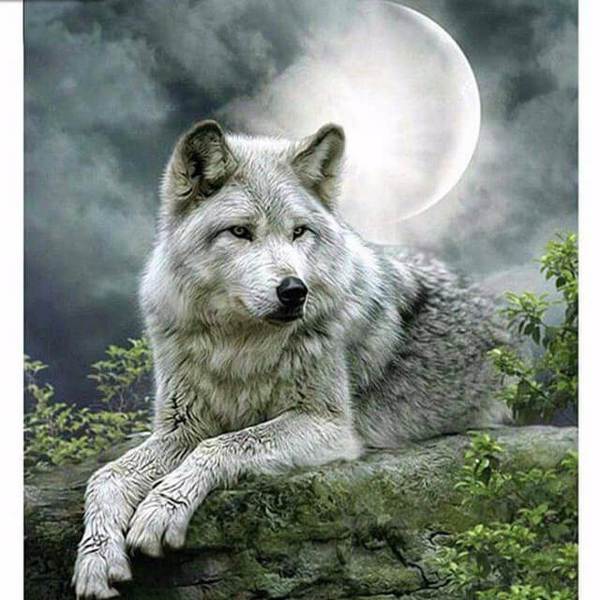 Wolf - DIY Diamond  Painting