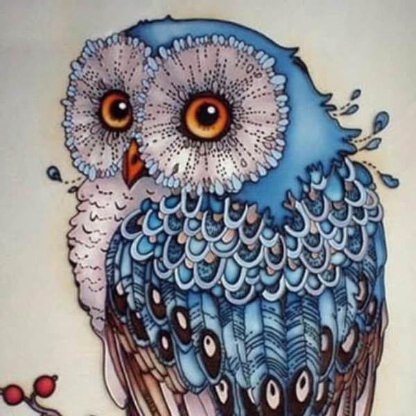 Owl - DIY Diamond  Painting